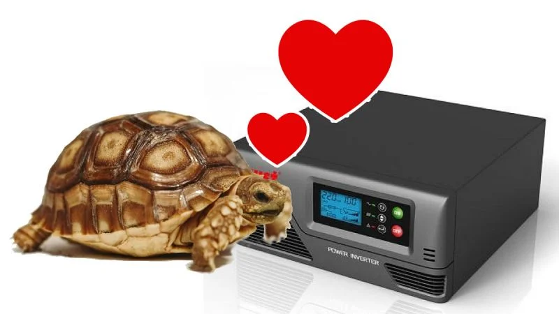 Akvárium, terrárium: hűtés, fűtés, szellőztetés